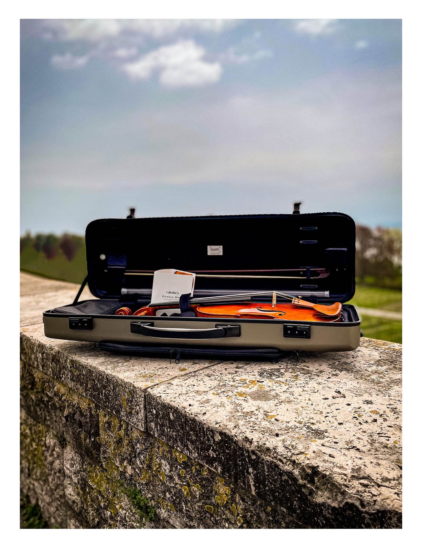 CANTONATE Violin #125F CA