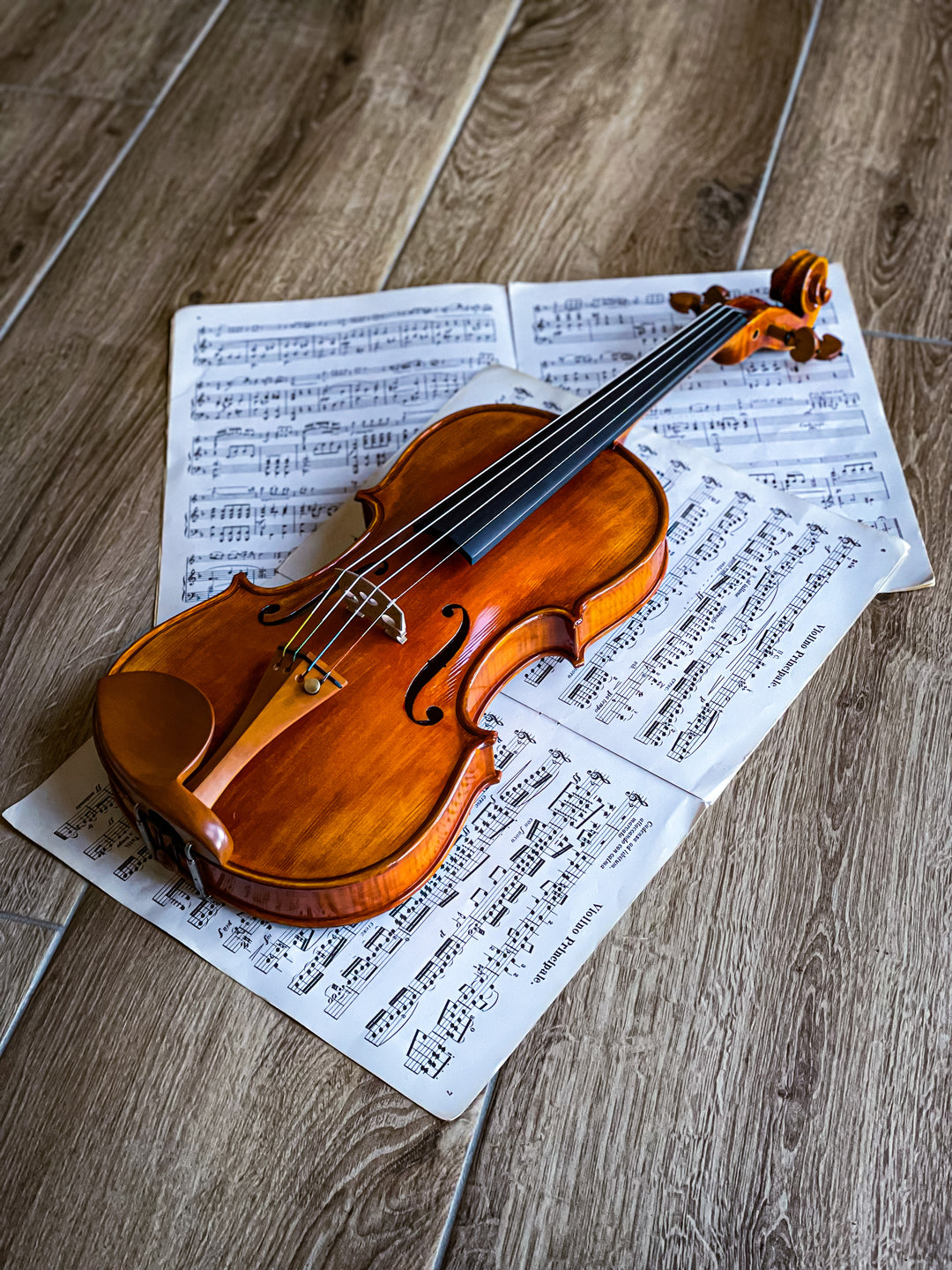 CANTONATE Violine 
