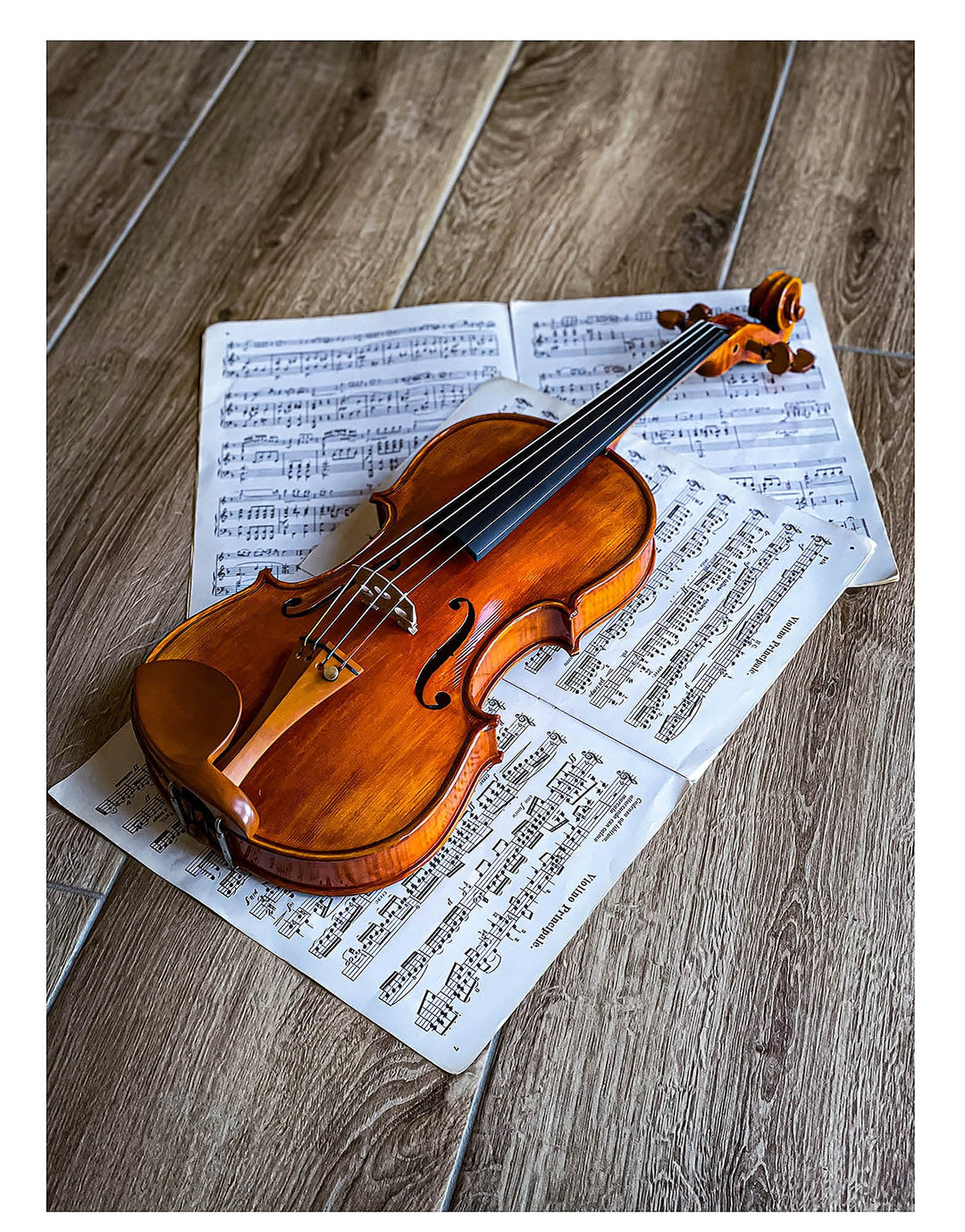CANTONATE Violine 