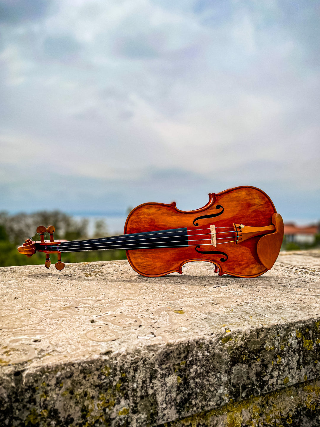 CANTONATE Violine 