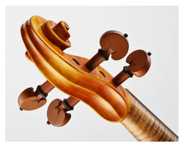 CANTONATE Violine 