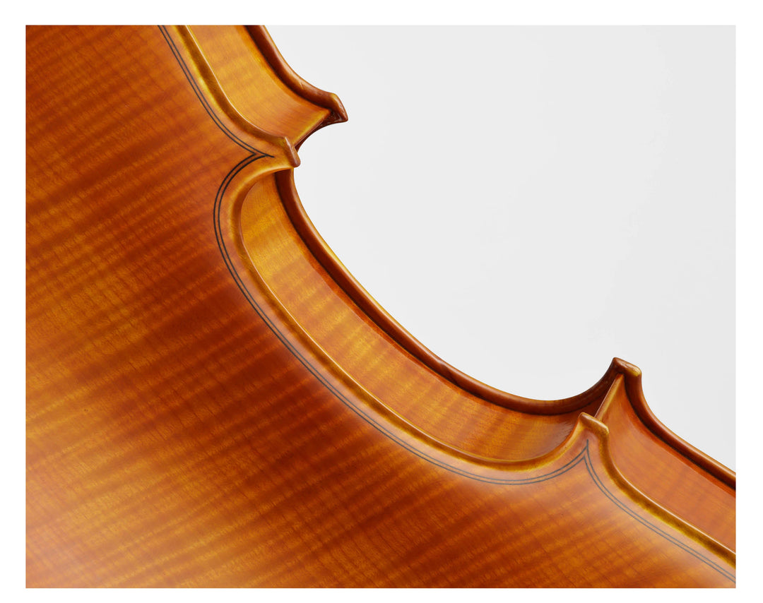 CANTONATE Violine 