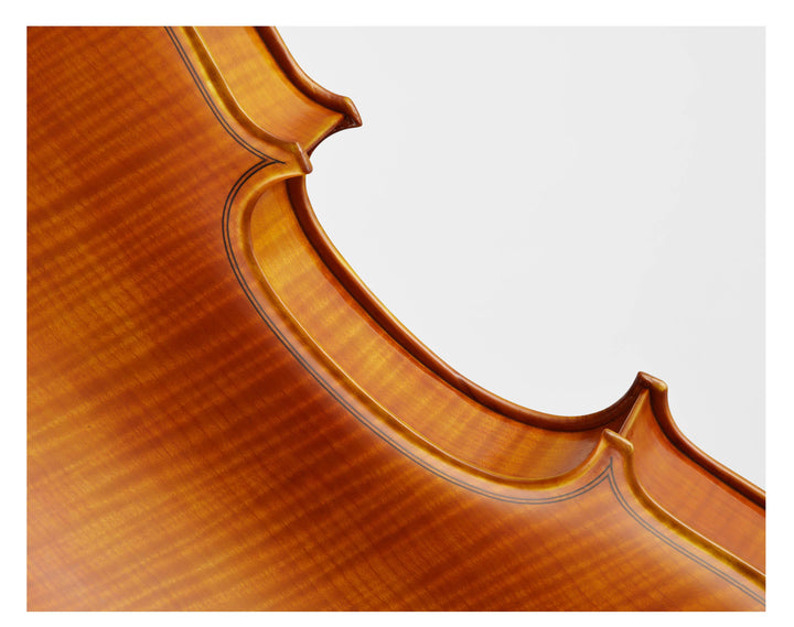CANTONATE Violine 