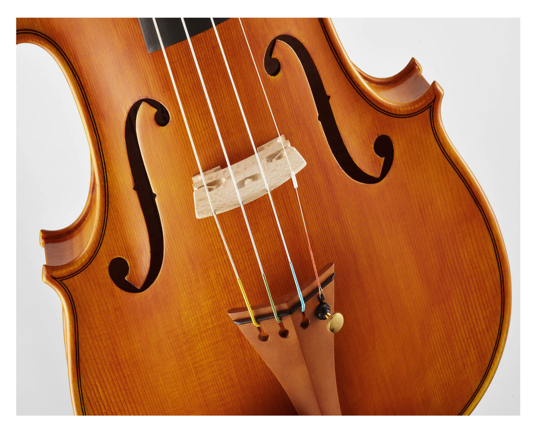 CANTONATE Violine 