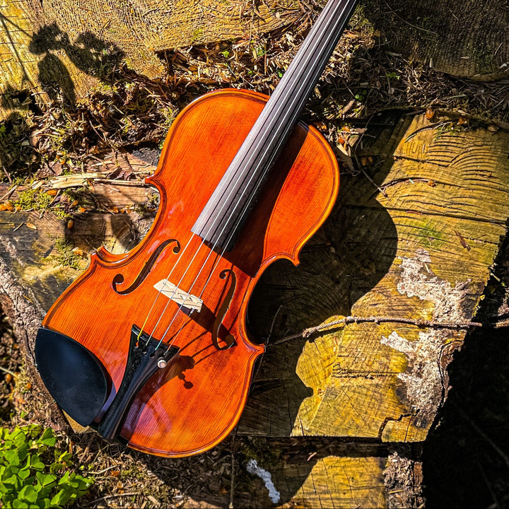 ❤ CONTEMPORARY Violine mit ganzem Boden, CG-125F-CT-4_4