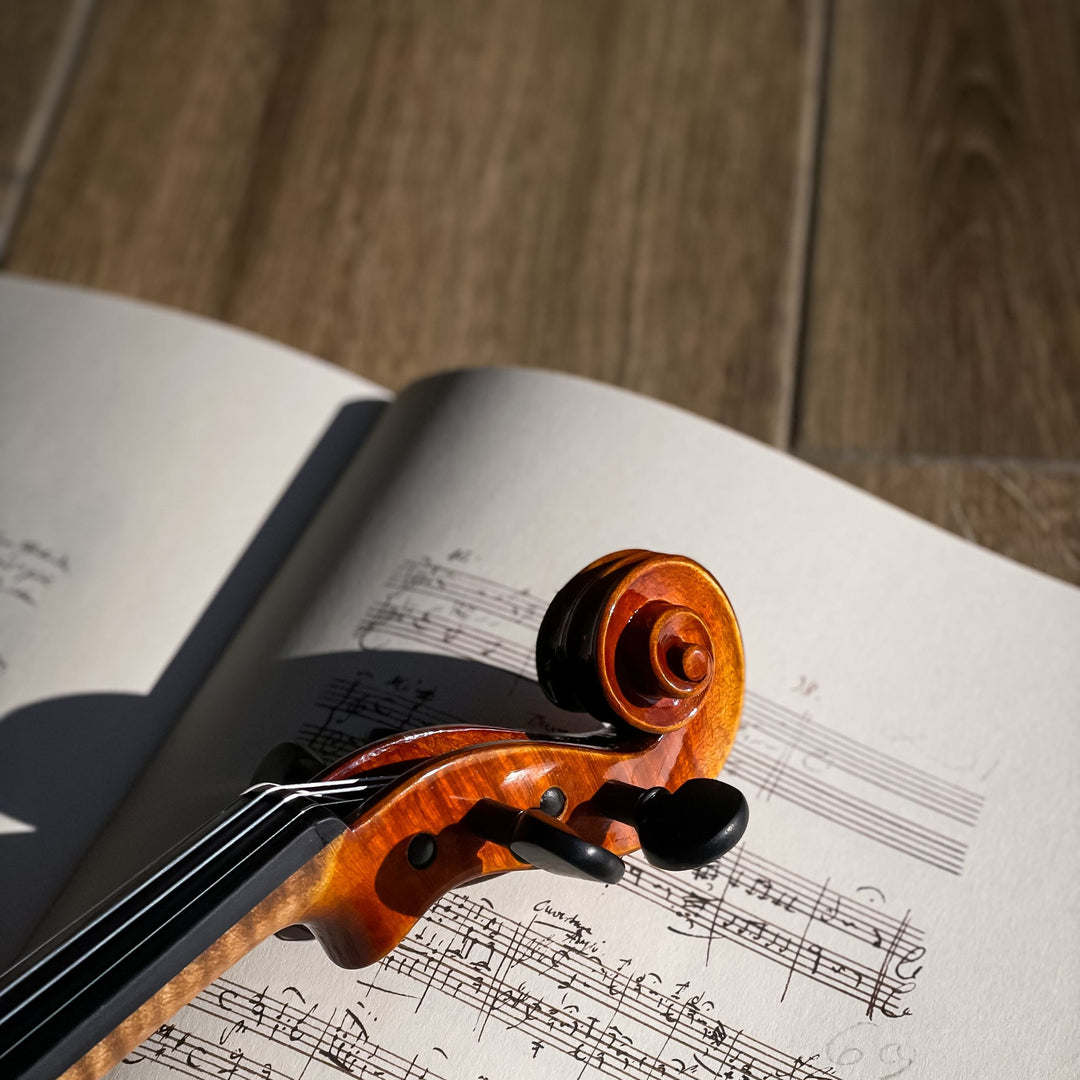 ❤ CONTEMPORARY Violine mit ganzem Boden, CG-125F-CT-4_4