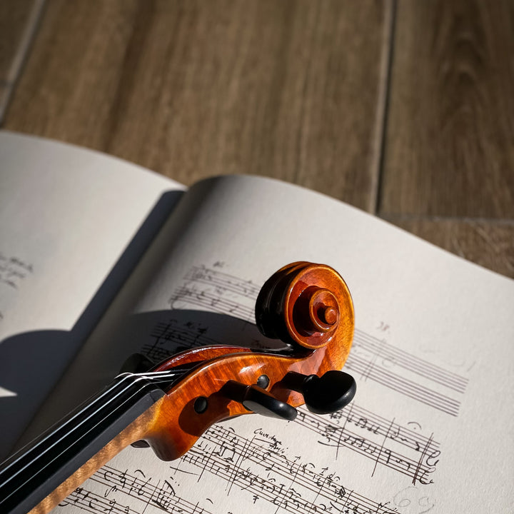 ❤ CONTEMPORARY Violine mit ganzem Boden, CG-125F-CT-4_4