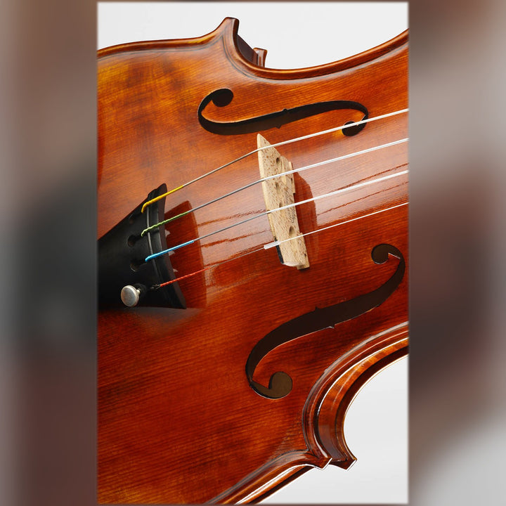 ❤ CONTEMPORARY Violine mit ganzem Boden, CG-125F-CT-4_4