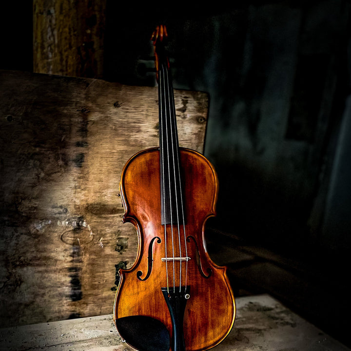 ❤ CONTEMPORARY Violine mit ganzem Boden, CG-125F-CT-4_4
