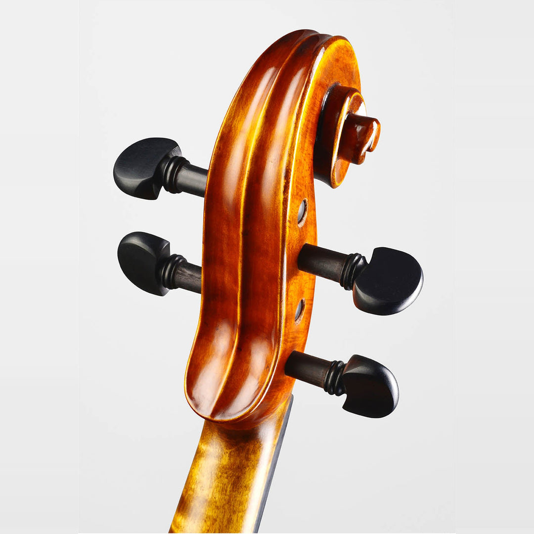 ❤ CONTEMPORARY Violine mit ganzem Boden, CG-125F-CT-4_4