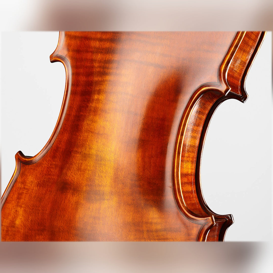 ❤ CONTEMPORARY Violine mit ganzem Boden, CG-125F-CT-4_4