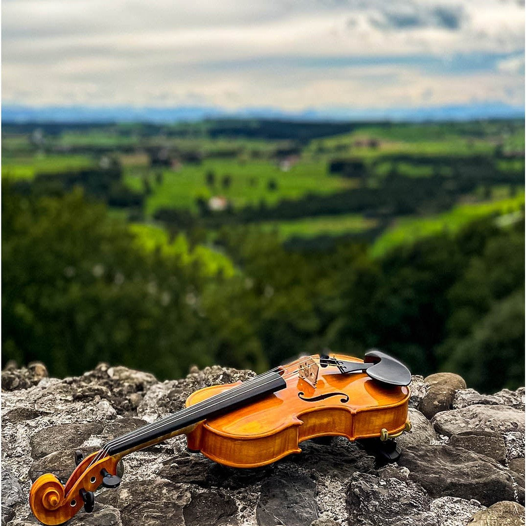 GOLDEN STATE Violine 