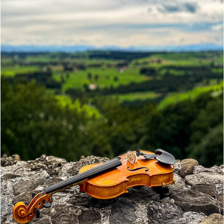 GOLDEN STATE Violine 