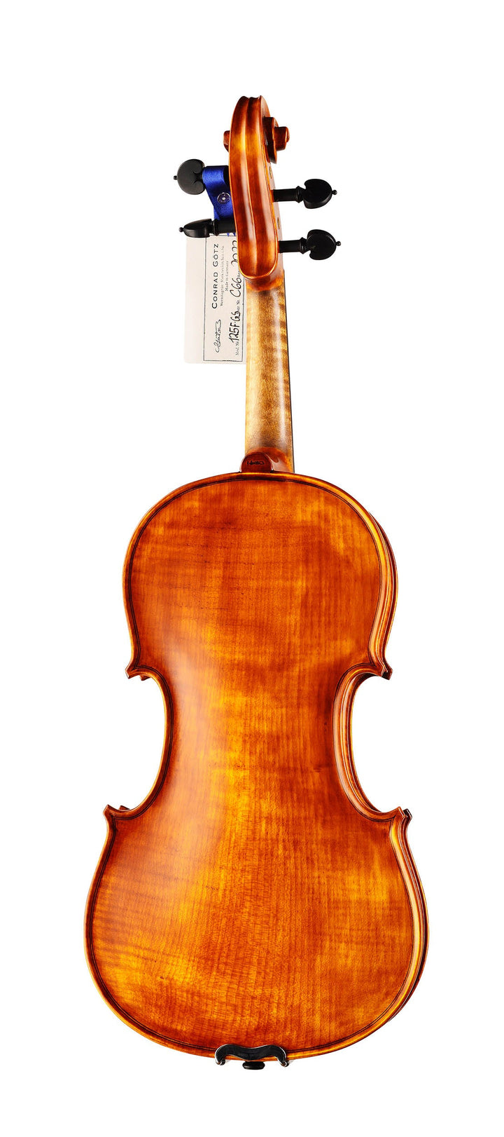 GOLDEN STATE Violine 