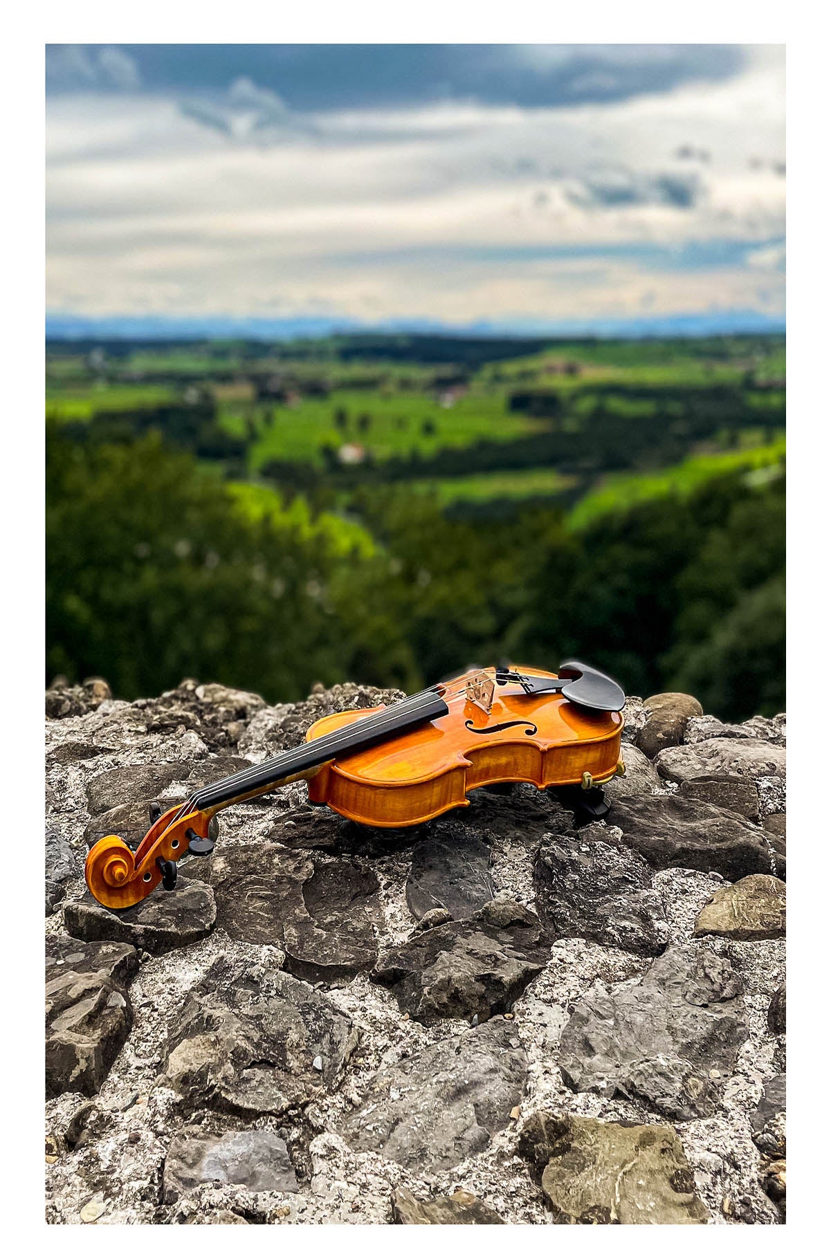 GOLDEN STATE Violine #125F GS