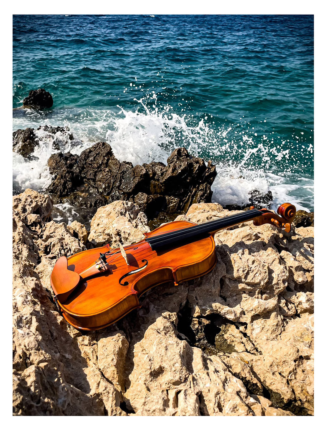 CANTONATE Violine 