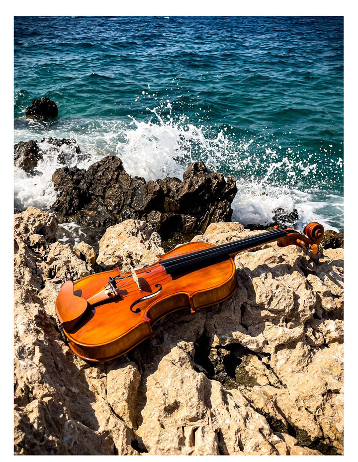 CANTONATE Violine 