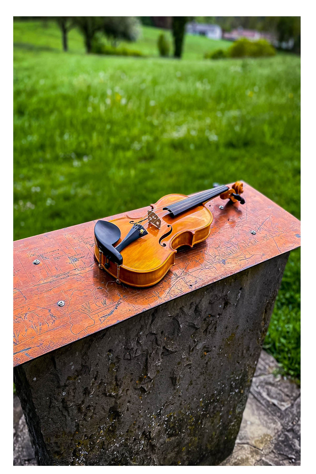 GOLDEN STATE Violine 
