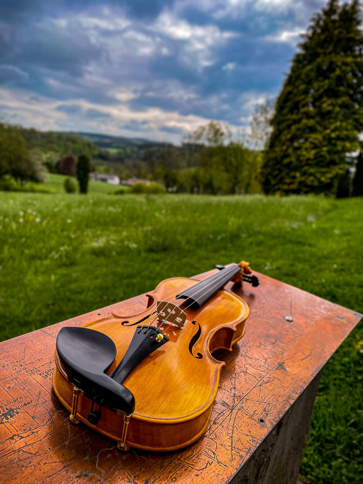 GOLDEN STATE Violine 