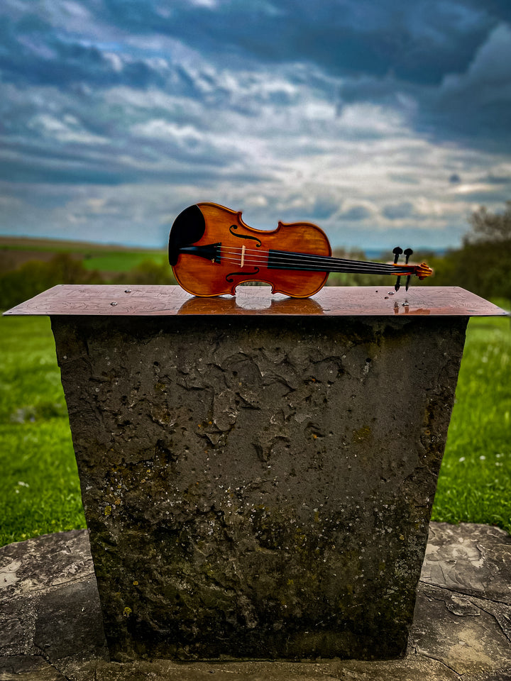 GOLDEN STATE Violine 