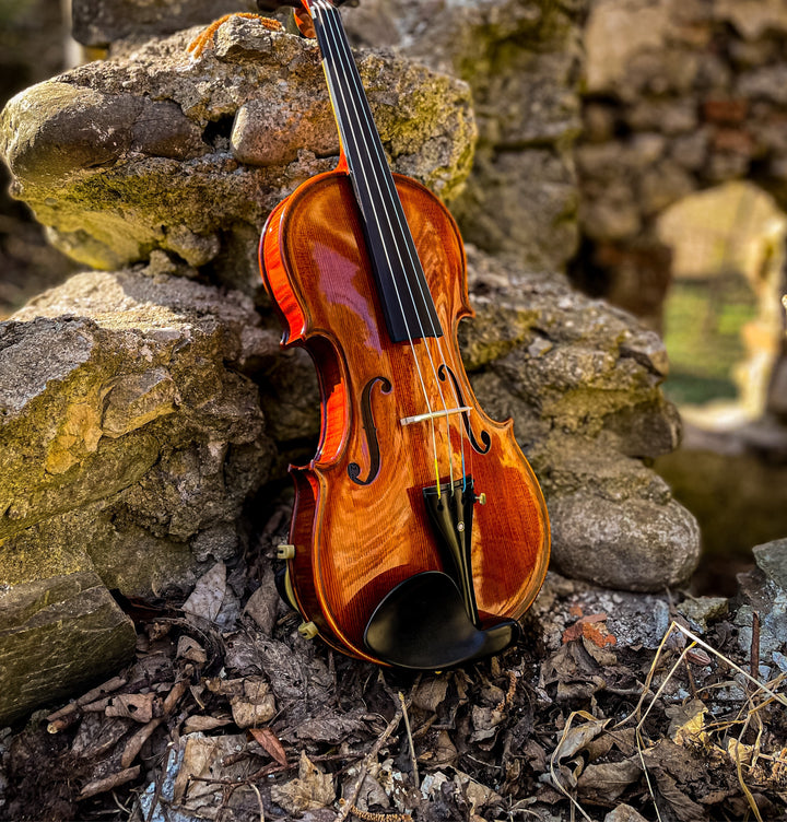 GOLDEN STATE Violine 