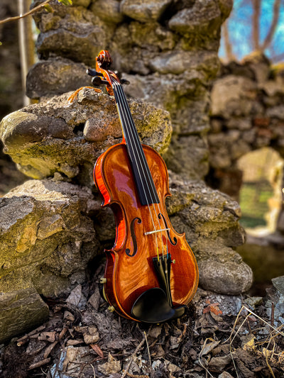 GOLDEN STATE Violine #136 GS