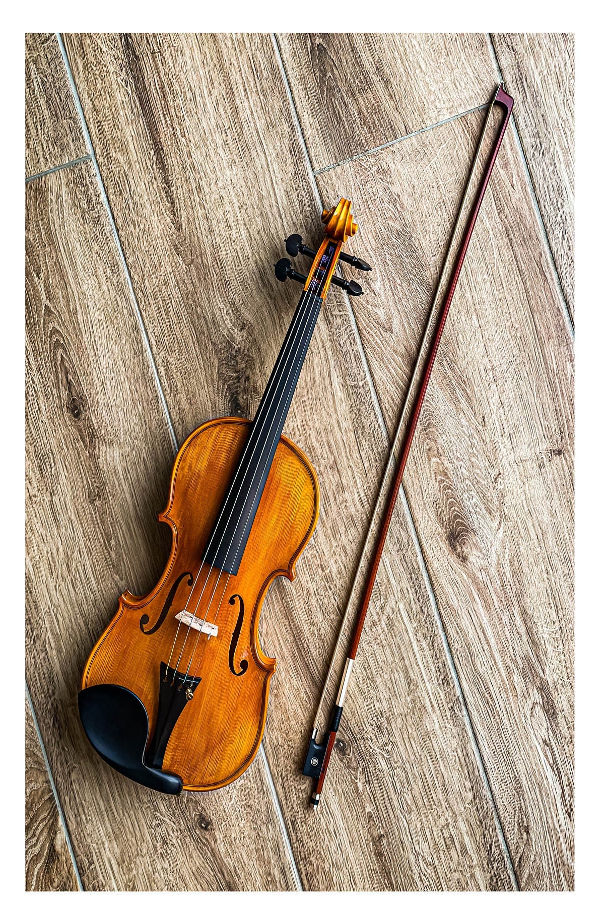 GOLDEN STATE Violine #130 GS