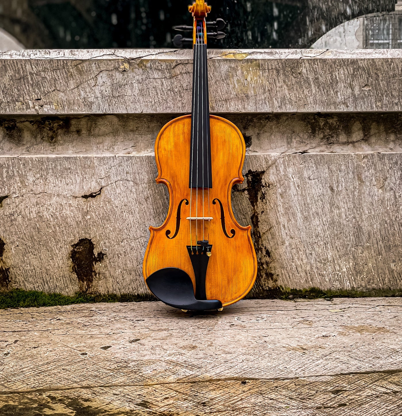 GOLDEN STATE Violin #140 GS