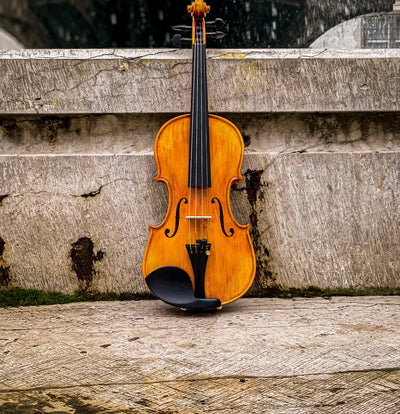 GOLDEN STATE Violin #140 GS