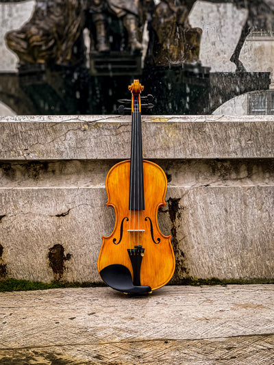 GOLDEN STATE Violine #140 GS