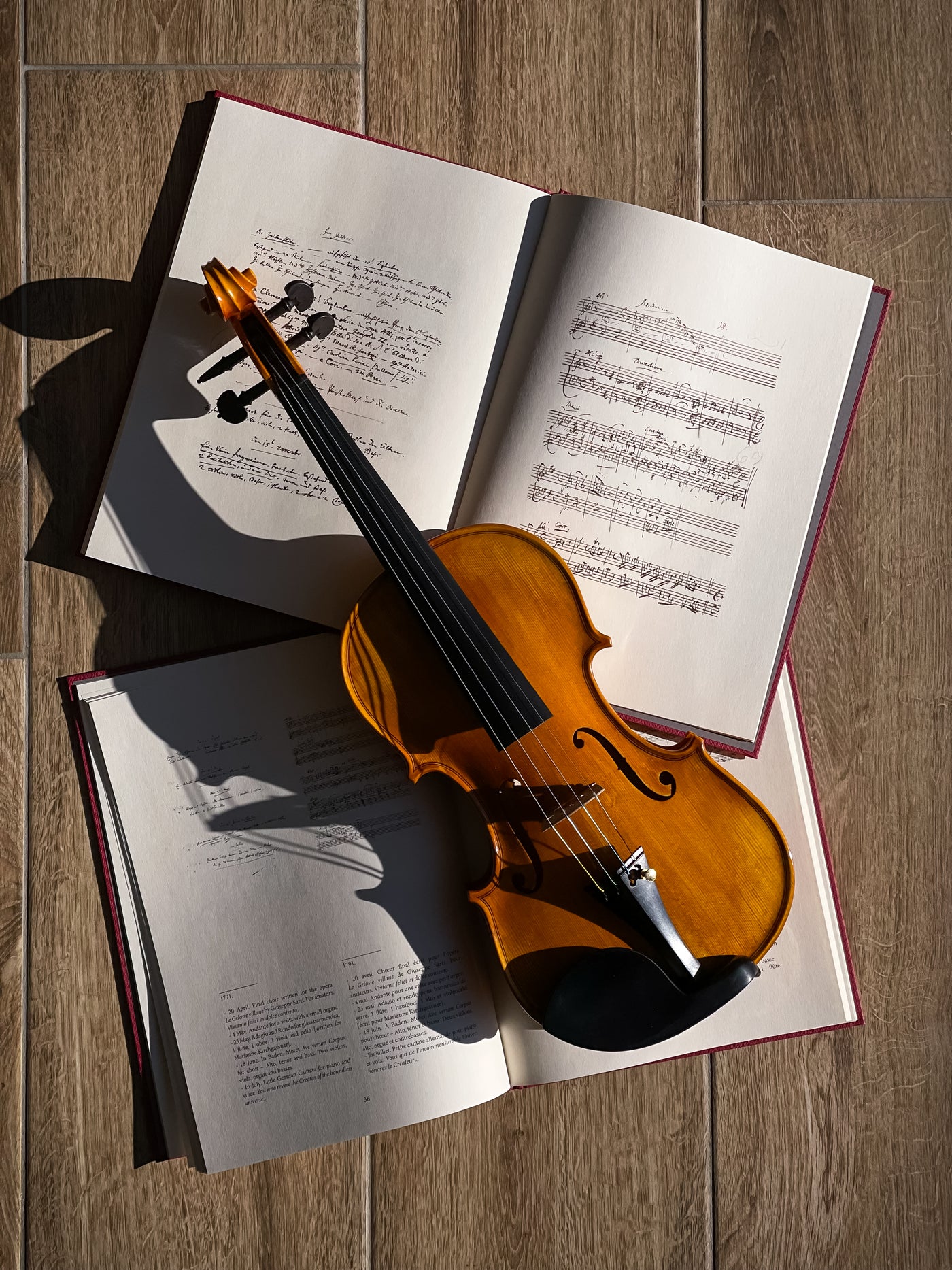 GOLDEN STATE Violine #136 GS