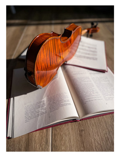 GOLDEN STATE Violine #130 GS
