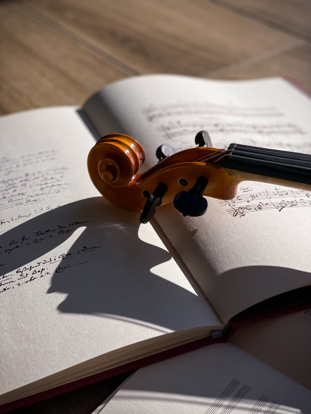 GOLDEN STATE Violine 