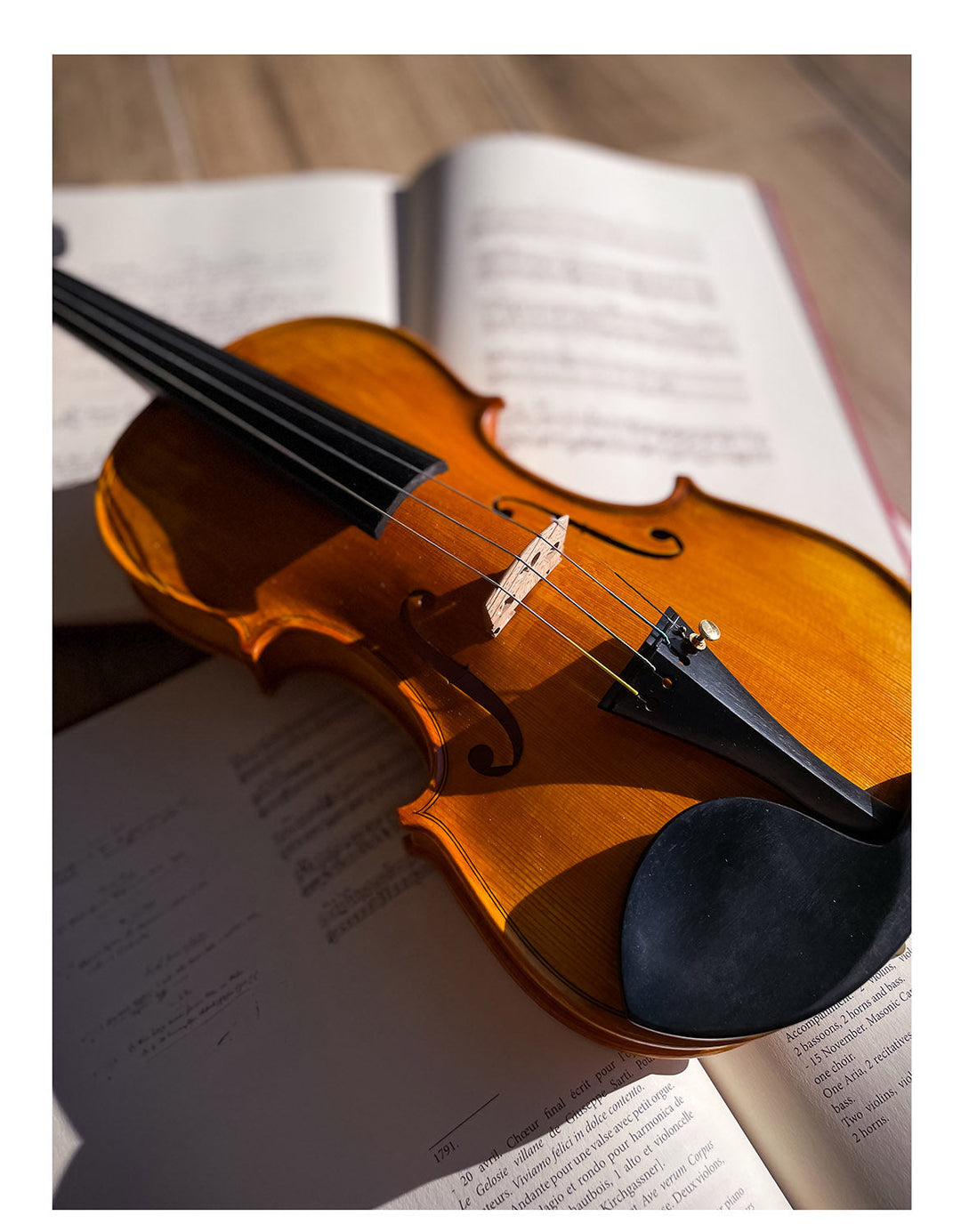 GOLDEN STATE Violine 