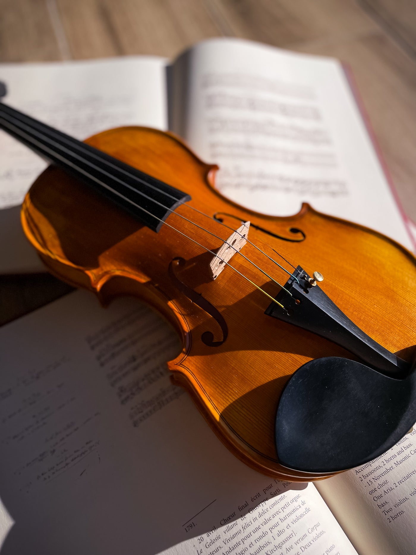GOLDEN STATE Violine #115 GS