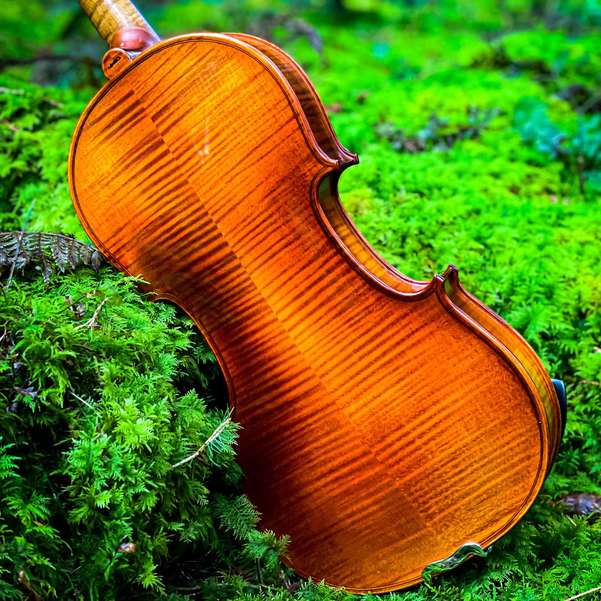 METROPOL Violine #130 MET, CG-130MET-4_4
