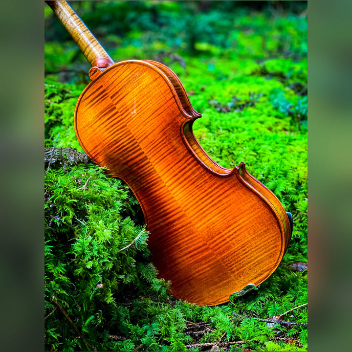 METROPOL Violine 