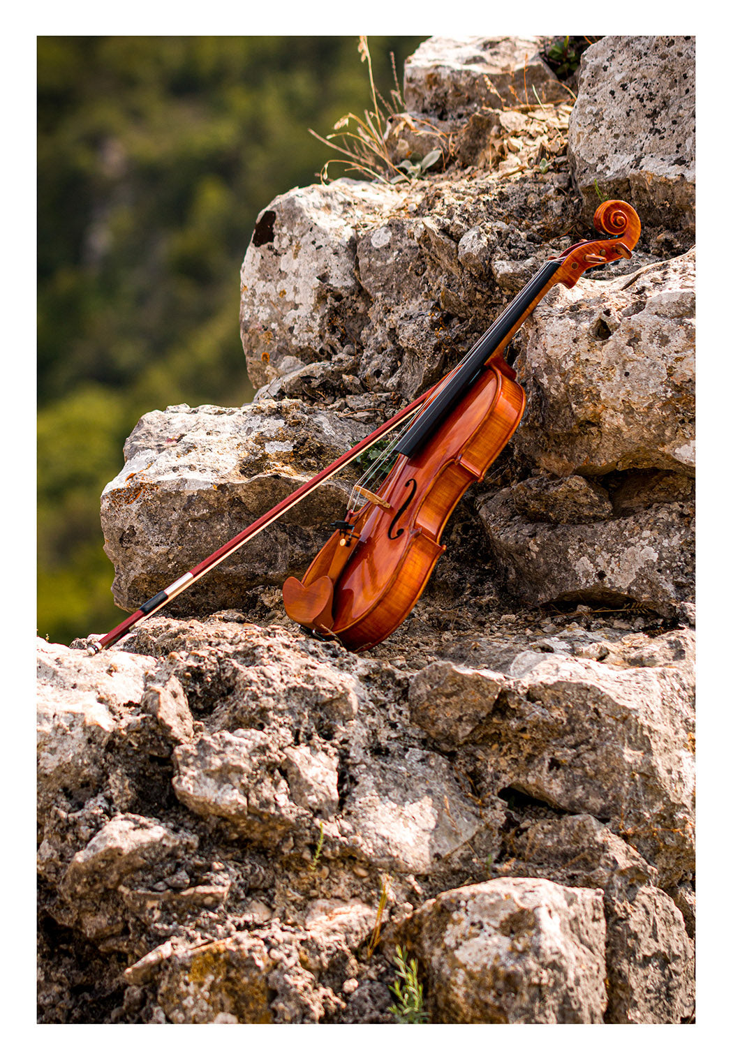 CANTONATE Violine 