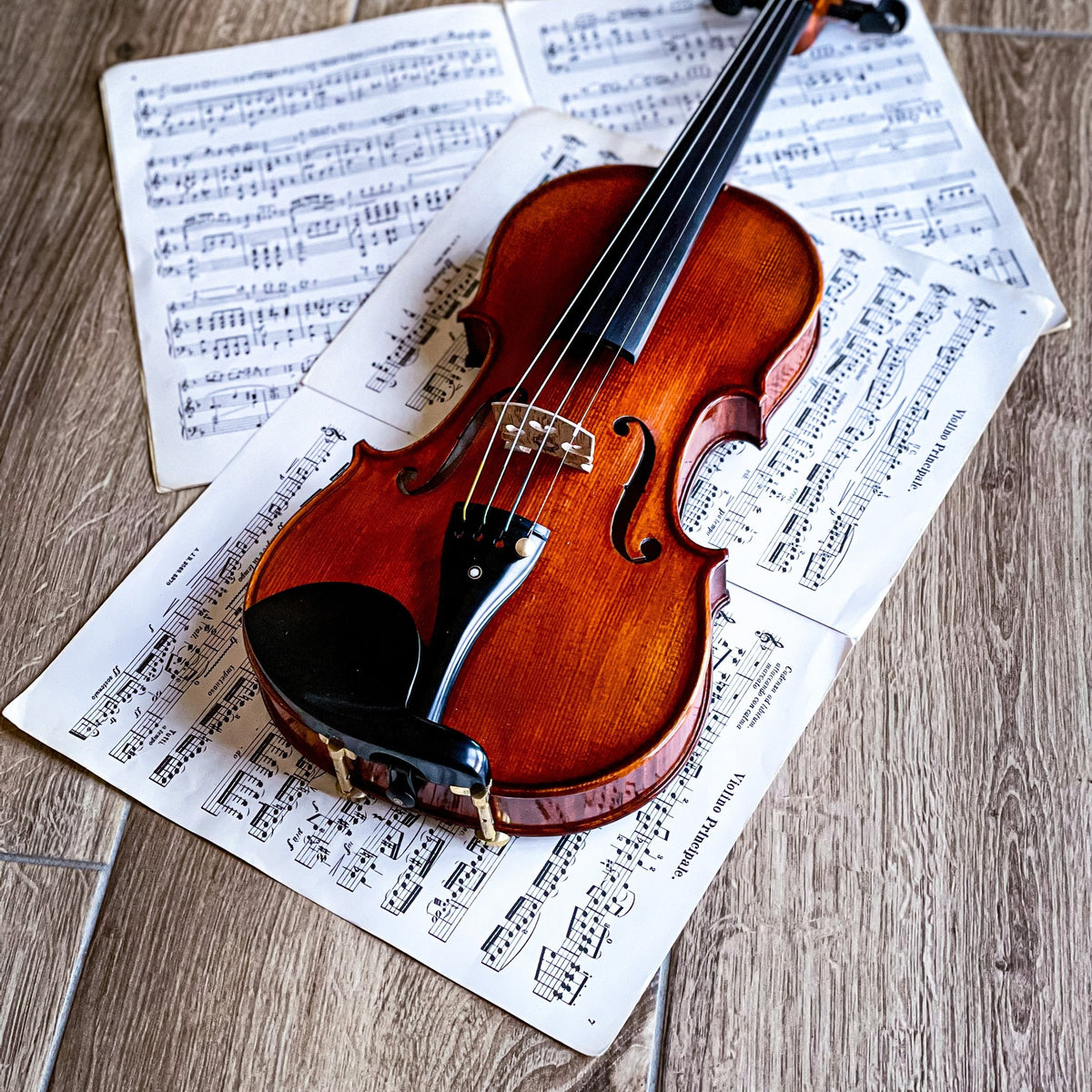 METROPOL Violin #136 MET, CG-136MET-4_4