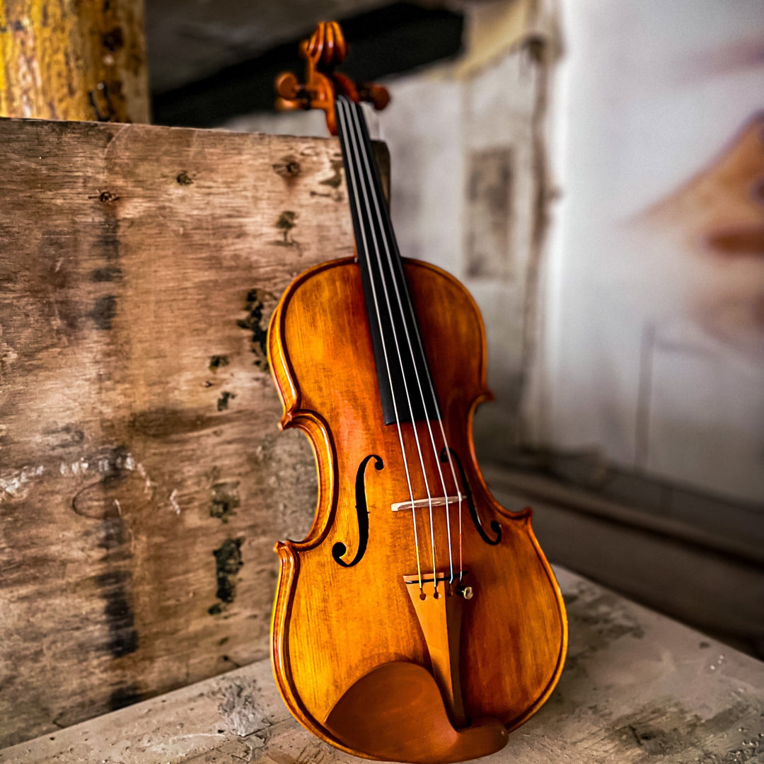 CANTONATE Violine 