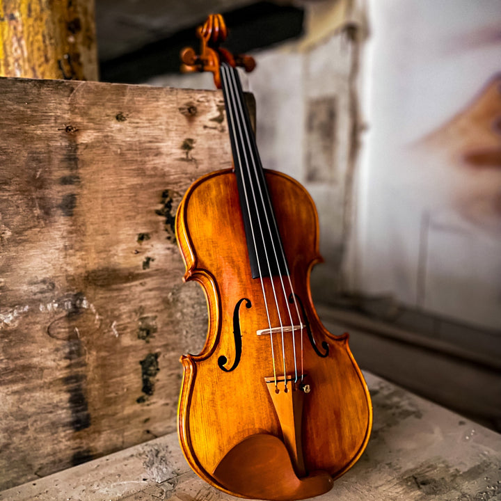 CANTONATE Violine 