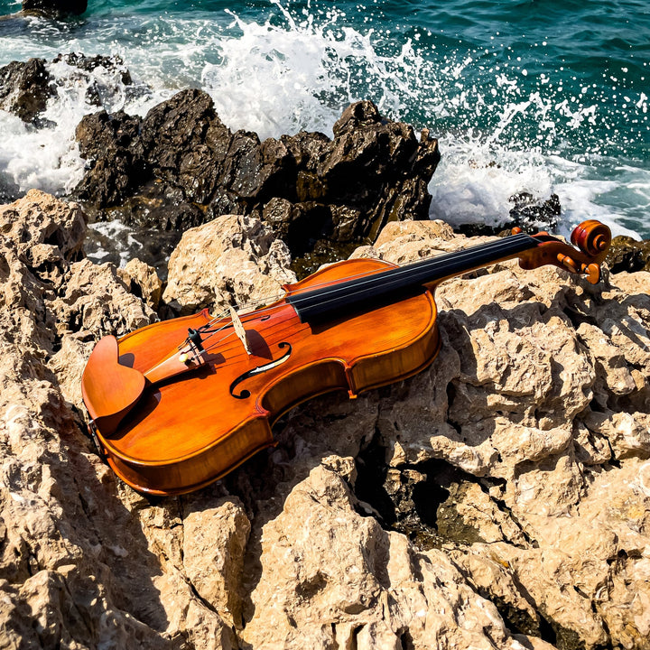 CANTONATE Violine 