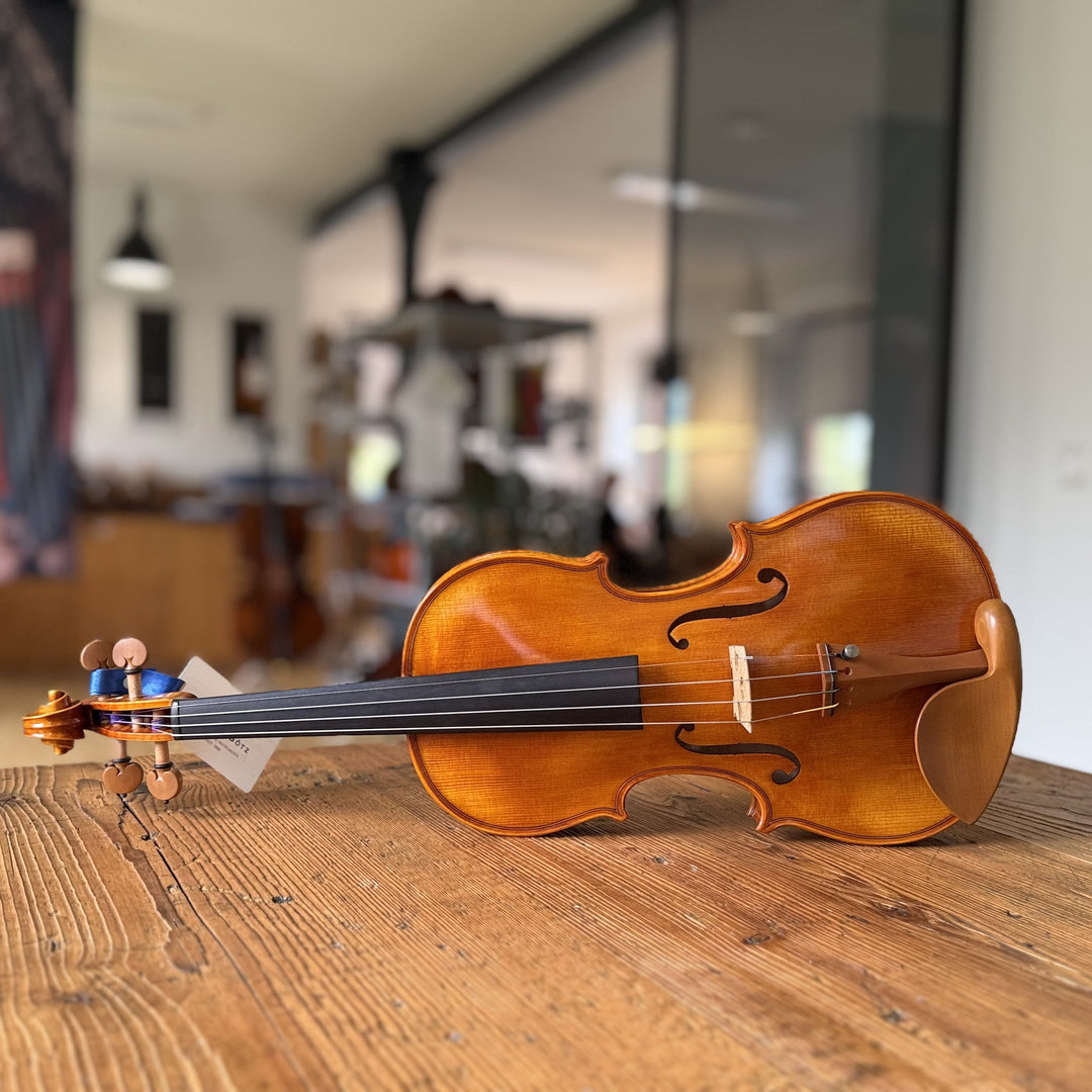 CANTONATE Violine 