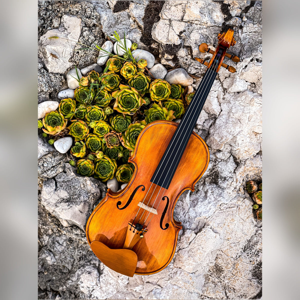 CONRAD GÖTZ Violin #140CA Signature 4/4, CG-140CA-S-4_4