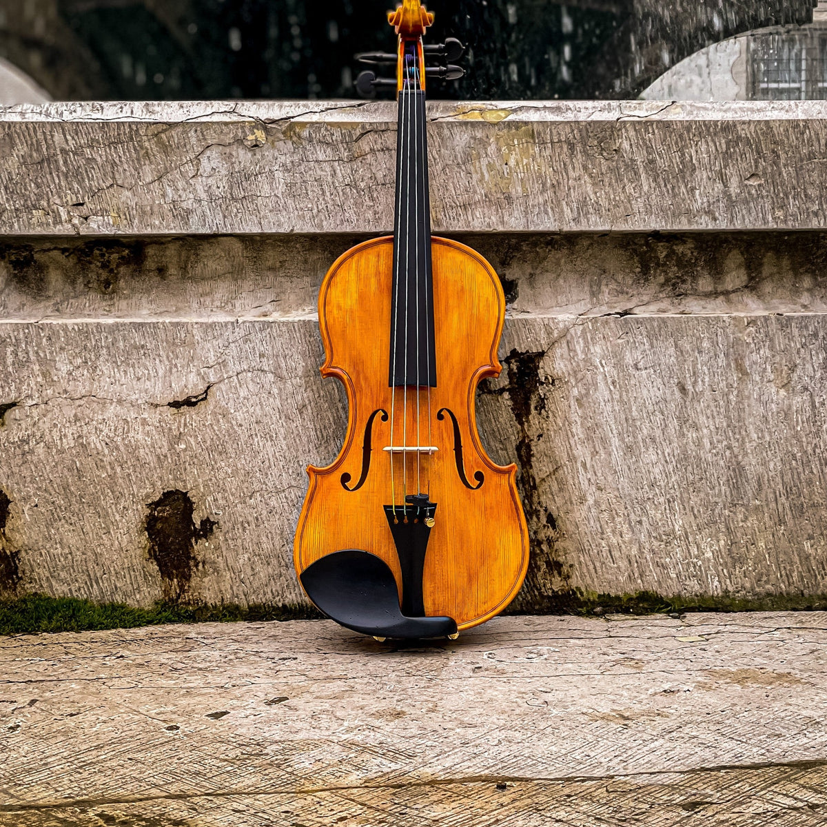 GOLDEN STATE Violine #140 GS, CG-140GS-4_4
