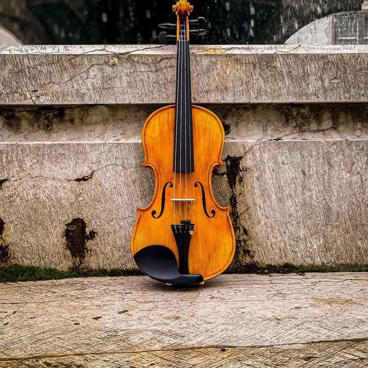 GOLDEN STATE Violine 