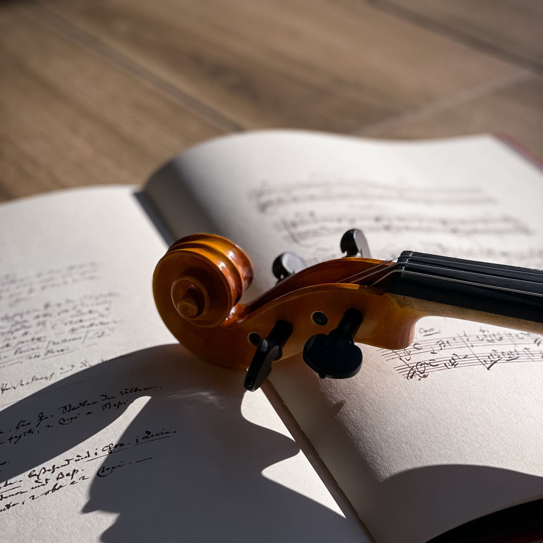 GOLDEN STATE Violine 