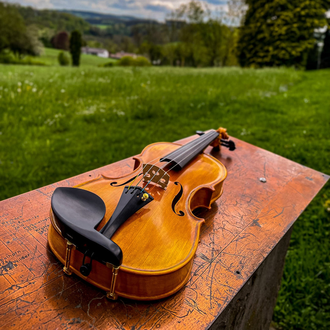 GOLDEN STATE Violine 