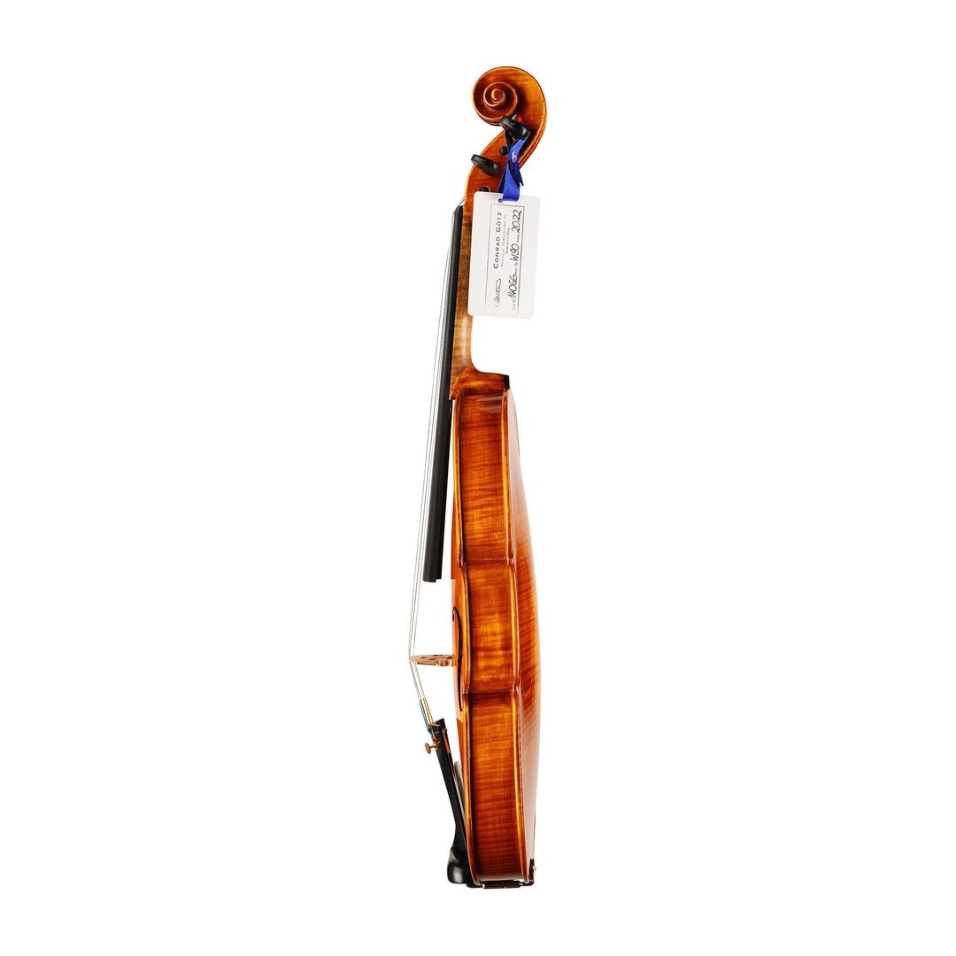 GOLDEN STATE Violine 