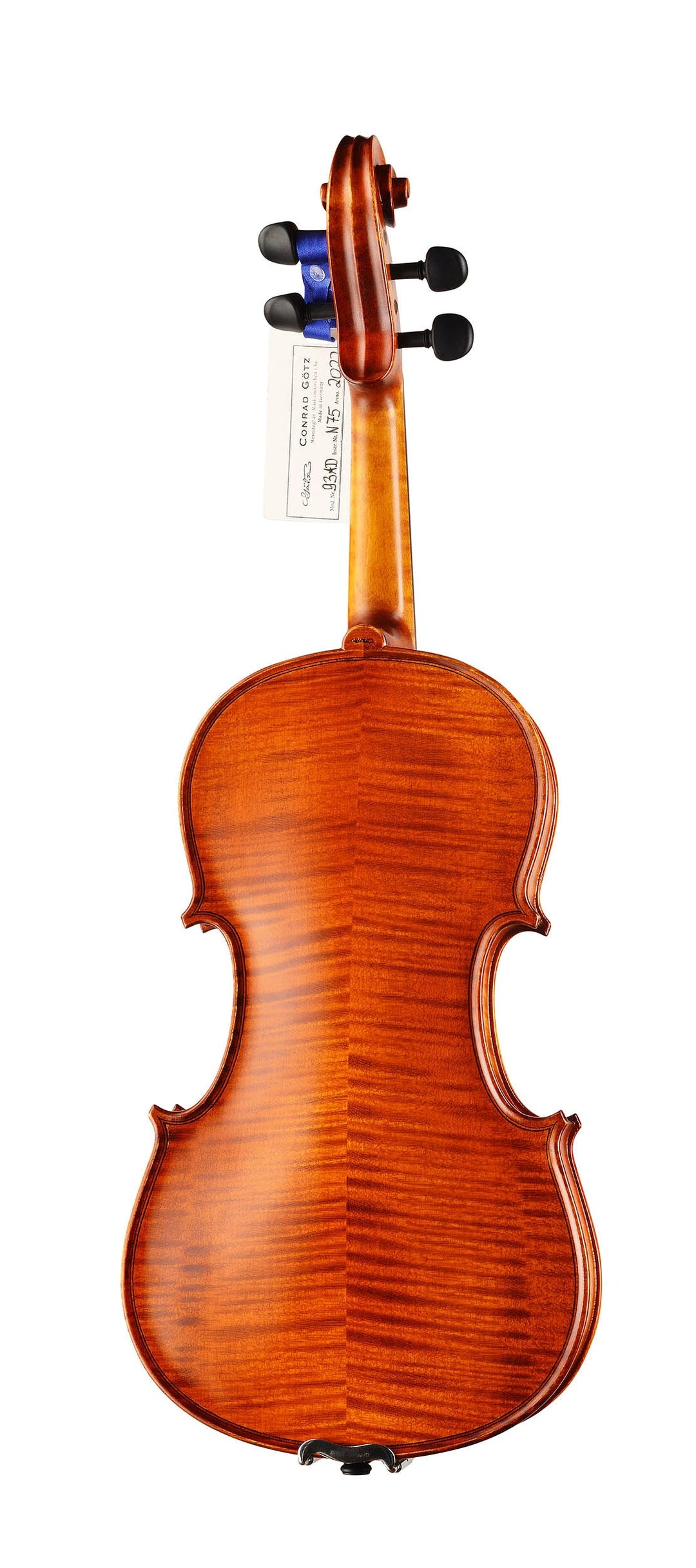 AUDITION Violine 